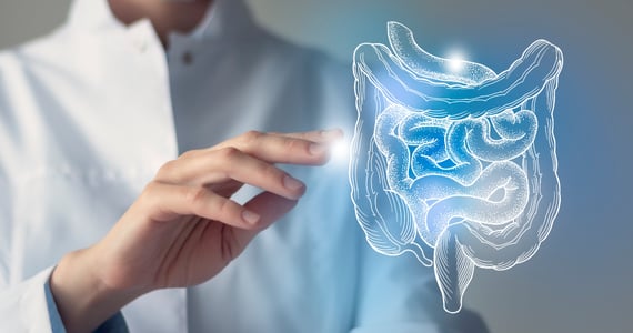 Healthcare professional reviewing medical scans.