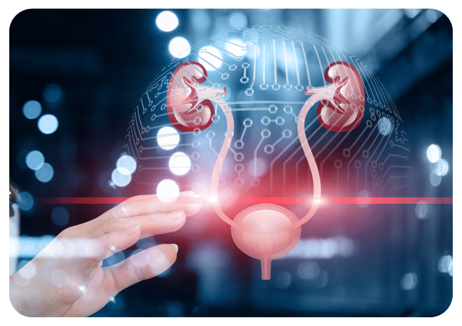 A detailed view of human anatomy scans for diagnosis.